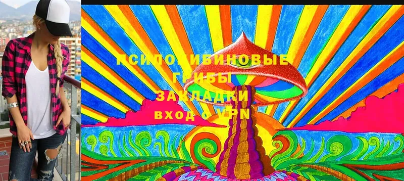 цены   Кириши  Псилоцибиновые грибы MAGIC MUSHROOMS 